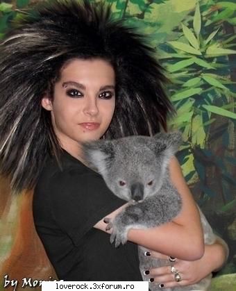 :zzz:  :zzz: bill si animalute