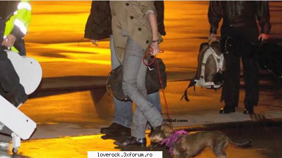 :zzz: bill si animalute